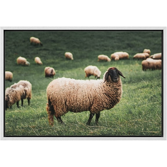 wall26 Framed Canvas Print Wall Art Ireland Scotland Sheep Countryside Farm Nature Animals Photography Realism Rustic Scenic Landscape Colorful for Living Room, Bedroom, Office - 24"x36" Wh