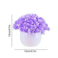 thumbnail image 3 of Tainini Artificial Potted Flowers ,Flower Plants Desktop for Home and Office, for Table,Bookshelf,Bedroom,Living Room, 3 of 7