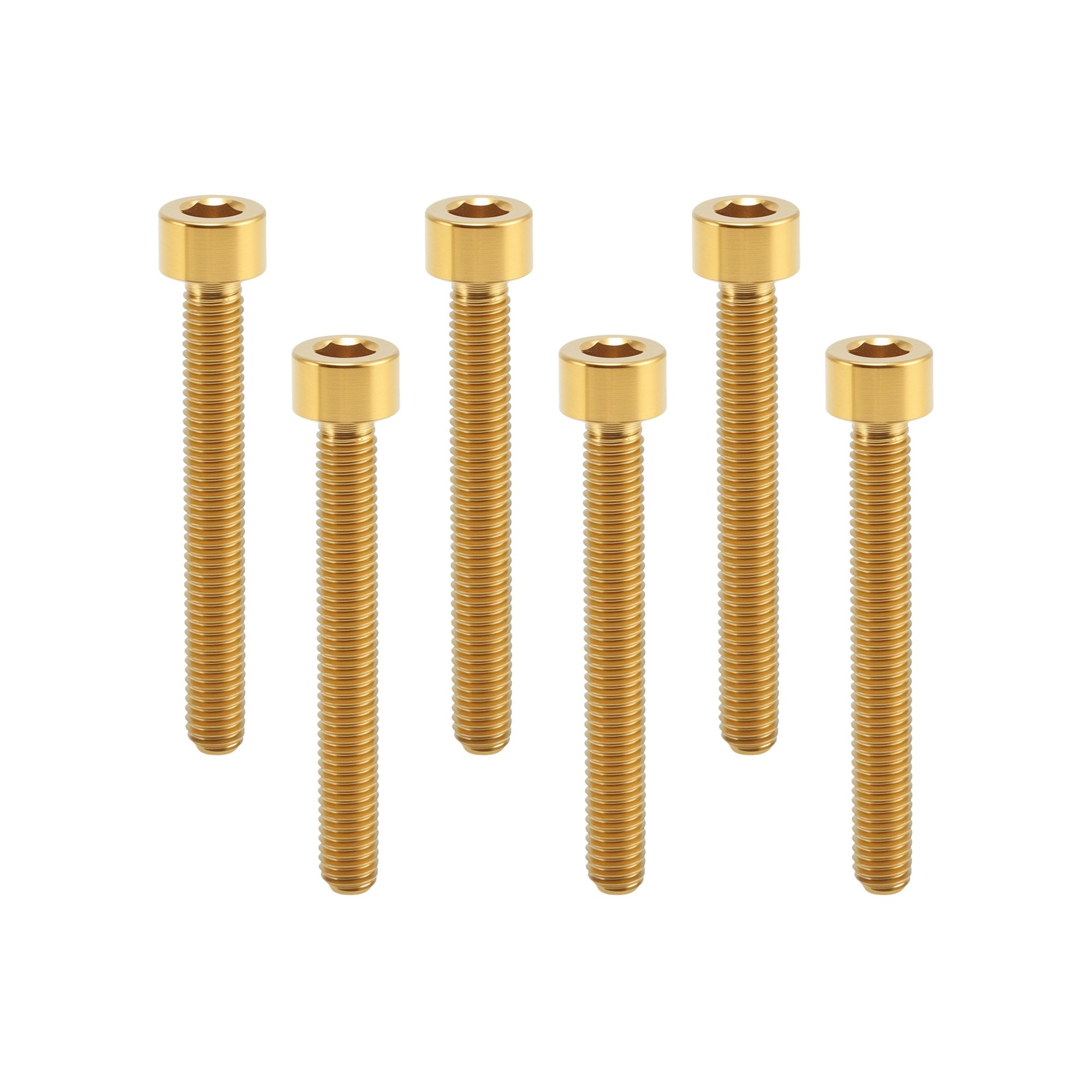 Unique Bargains Hex Socket Head Cap Screws Bolts M5x40 Titanium Alloy 6 Pcs Socket Head Cap Screws Hex Drive for Bike Water Bottle Cage Holder 0.8 mm Pitch Gold Tone