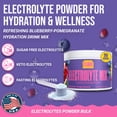 thumbnail image 3 of Dr. Price’s Electrolyte Mix – Blueberry Pomegranate Flavor, 90 Servings | Sugar-Free Hydration Powder with Trace Minerals | Gluten-Free, No Sugar, 3 of 8