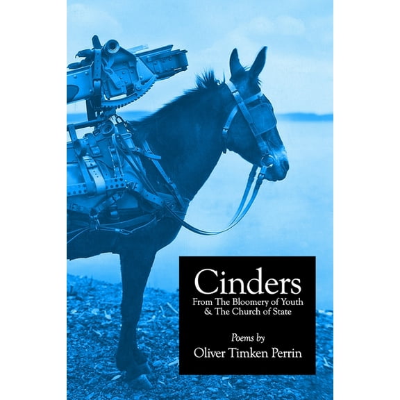 Cinders From The Bloomery of Youth & The Church of State: Poems 1994-2016 (Paperback)