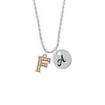 thumbnail image 2 of Delight Jewelry Rose Goldtone Crystal Initial - F - Silvertone Script Initial Disc - A - Charm Necklace, 20"+3", 2 of 4