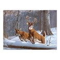thumbnail image 2 of Royal Brush Adult Painting by Numbers Kit, White Tails, 2 of 2