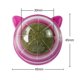 thumbnail image 4 of Kuymtek Pelota Giratoria Hierba Gatera para Gatos Naturales Bolas para Lamer Aperitivos Molares Hierba Gatera (rojo), 4 of 8