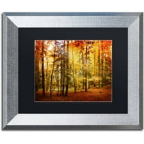 Trademark Fine Art "Fall Color" Canvas Art by Philippe Sainte-Laudy Black Matte, Silver Frame