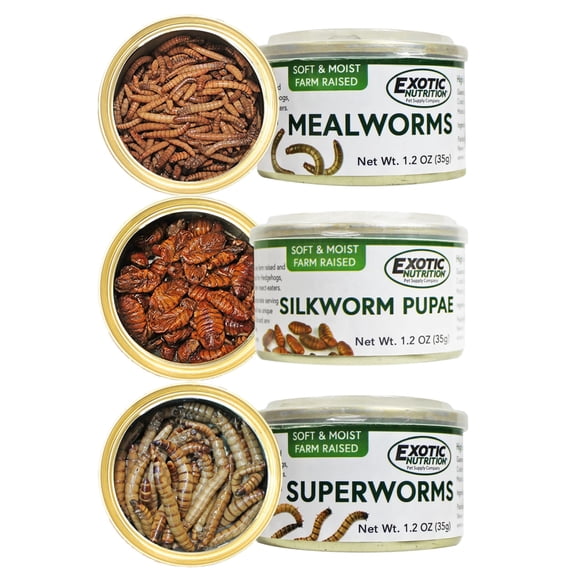 Canned Insect Assortment (3 Pack)-  Healthy High Protein Insect Treat for Hedgehogs, Sugar Gliders, Reptiles, Wild Birds, Chickens, Lizards, Bearded Dragons, Skunks, & Other Small Animals