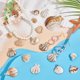 thumbnail image 2 of 120 colgantes de conchas de playa en 8 estilos diferentes, de acrílico, con forma de vieira y almeja. Incluyen un agujero., 2 of 6