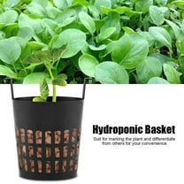 Save Water Basket, Hydroponic High Quality for Office Home