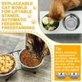 thumbnail image 4 of Qweryboo 6Packs Cat Bowls Cat Food Bowls with Spoon, 6Inch Cats Shallow Bowl, Pet Feeding Bowl Whisker Fatigue Relief, Extra Replacement Bowl-Metal Food and Water Dish, for Small Dogs and Cats, 12oz, 4 of 7