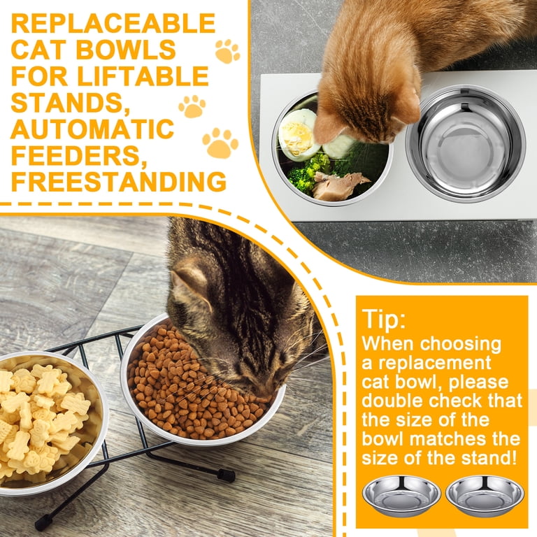 Qweryboo Stainless Steel Cat Bowls, 6-Pack with Spoon photo 4