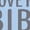 AE-Light Blue, variant on I Love My Bibi Boys or Girls Long Sleeve Toddler T-Shirt