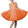 thumbnail image 4 of Bixock Fall and Winter Clothes,Toddler Girls Dresses,Children's Formal Dress Sleeveless Chiffon Dress Princess Dress, 4 of 4