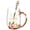 Friendship, variant on Grandma Enamel Flower Glass Mug Set