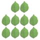 thumbnail image 1 of Leaf Shaped Note Paper Self Adheive Note Paper Colorful Note Paper Notepads 3.74x2.44In for Student Teacher 50Sheets/Pad, 1 of 4