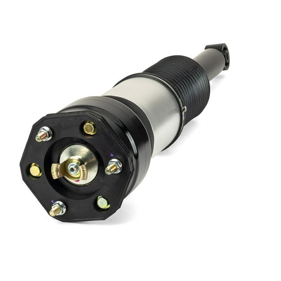 Arnott New Rear Air Strut AS-2856