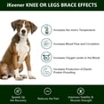 thumbnail image 4 of IKeener Portable Red Light Therapy Apparatus for Pet Health Relief Pain and Promote Healing, 4 of 6