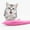 Pink, variant on ReTeiv Pet Supplies Cat Fish Shape Toothbrush With Catnip, Silicone Molar Stick Catnip Toys, Chew Teeth Cleaning Toy For Cats Kitty