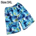 thumbnail image 2 of Pantalones de playa para hombre, de secado rápido, sueltos, delgados, de cinco puntos, para hombre, deportivos, informales, de secado rápido, para playa Zhivalor BST3023836-2, 2 of 6