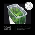 thumbnail image 3 of Cole & Mason Fresh Cut Herb Keeper Pot - Food Storage Container for Fresh Herbs - Fridge Storage for Herbs - Container, Clear, 3 of 7