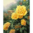 thumbnail image 1 of Cuadros Decorativos Punto de cruz completo 11CT Hilo de algodón DIY China Rose Impreso Craft Kit de bordado Likrtyny embutido en tela, 1 of 1