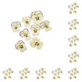 thumbnail image 3 of Kearding 12 piezas de flores secas para manualidades, adornos de maquillaje, flores prensadas, manualidades Type2 NO2, 3 of 6