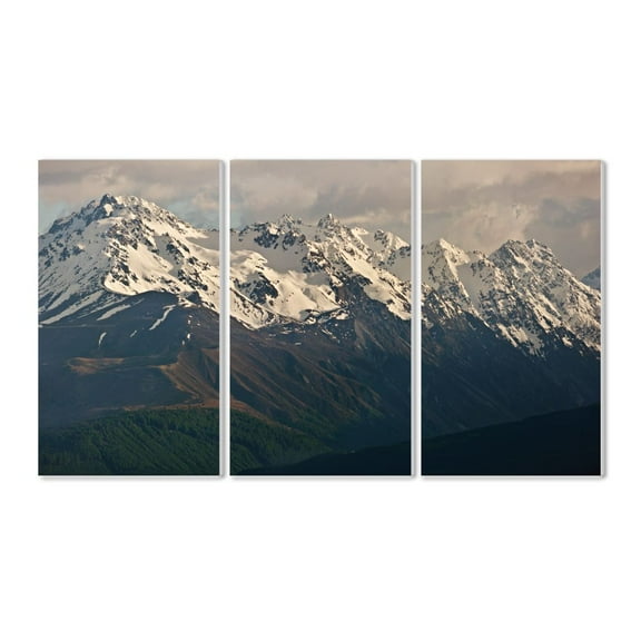 The Stupell Home Decor Collection Panoramic of the Southern Alps Wood Wall Art