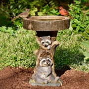 Outdoor Bird Bath Bowl, Resin Pedestal Fountain Decoration for Yard, Garden w/Planter Base, Feeder, Wonderful Outside Decor, Best Choice Gift (Raccoon)