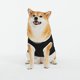 thumbnail image 1 of Camisetas para perros de algodón suave y elástico de verano para perros pequeños y gatos, con estampado de Mickey Mouse, ropa ligera y transpirable sin mangas para cachorros., 1 of 8