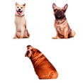 thumbnail image 1 of Cojín de Peluche con Diseño Exclusivo para Amantes de Mascotas, 1 of 9