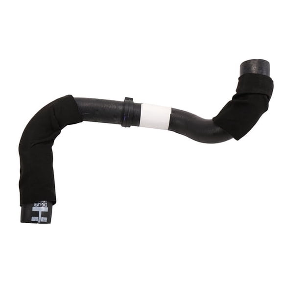 Radiator Outlet Hose