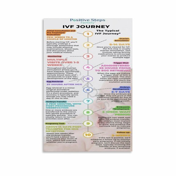 IVF Process Cycle Infographic Poster Fertility Educational Wall Art (10) Canvas for Bedroom Living Room Decor poster