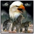 thumbnail image 3 of Kit Bordado Punto Cruz Taladro 5D Cgtredaw (Animal08), 3 of 9