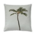 thumbnail image 2 of Ahgly Company Plants Palm Tree Outdoor Throw Pillow, 18 inch by 18 inch, 2 of 6