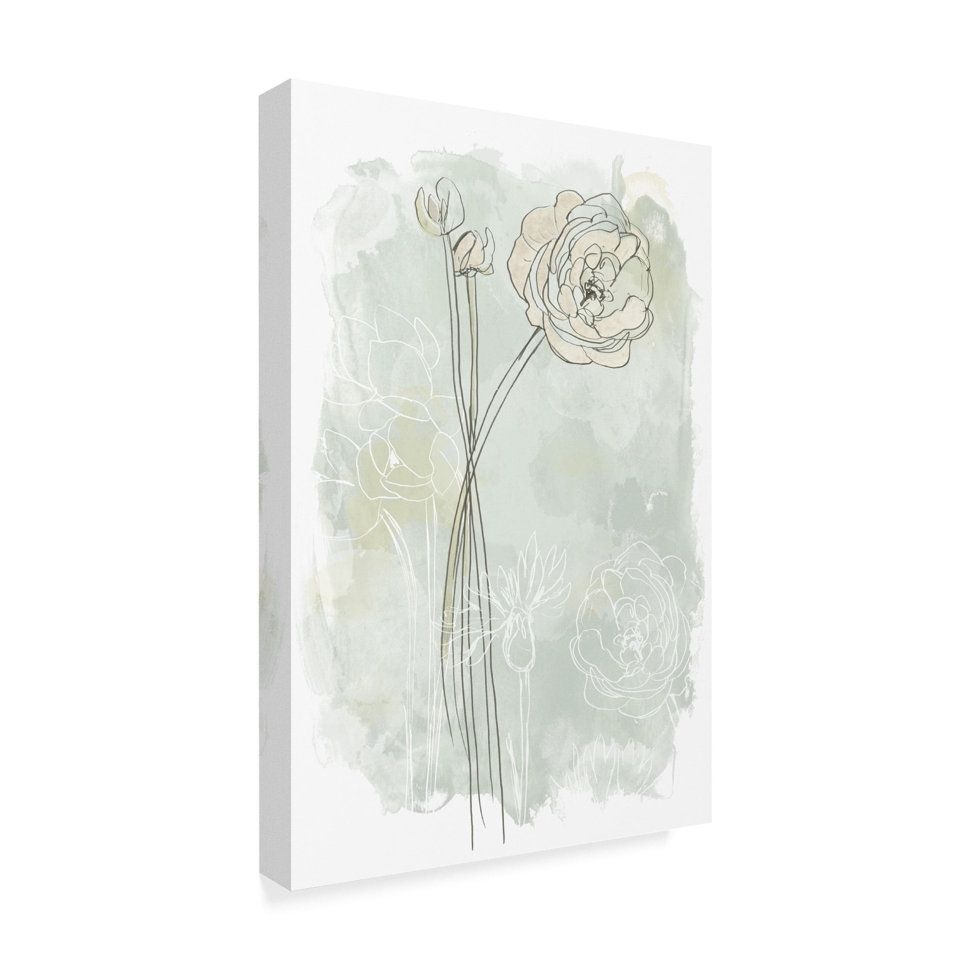 Trademark Fine Art 'Stone Flower Study III' Canvas Art by June Erica Vess