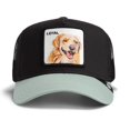 thumbnail image 1 of GOORIN Gorra trucker unisex - Gorra, parche frontal, talla única The Loyal Dog, 1 of 7
