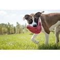thumbnail image 4 of Kong Flyer Disque en Caoutchouc Jouet pour Chien - pour Attraper, Rapporter et Jouer - Rouge Grand Lot de 2, 4 of 5