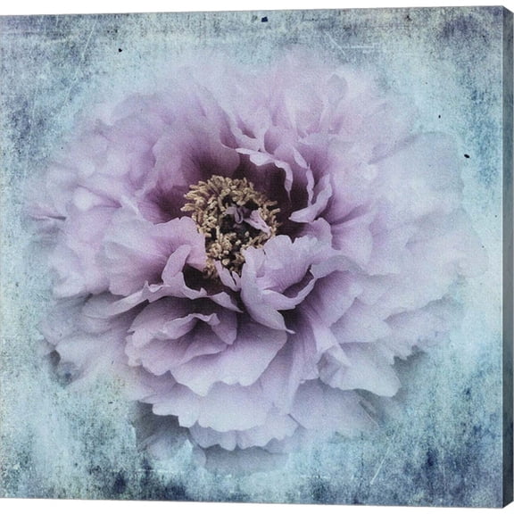 Great Art Now The Season I love by Stefan Eisele, Canvas Wall Art, 24W x 24H