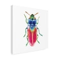 thumbnail image 2 of Larisa Hernandez 'Buggin Out III' Canvas Art, 2 of 3