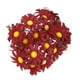 thumbnail image 1 of Paquete de 100 cabezas de flores artificiales de margaritas para bodas, fiestas y manualidades. Incluye broches para el cabello. Colores disponibles., 1 of 6
