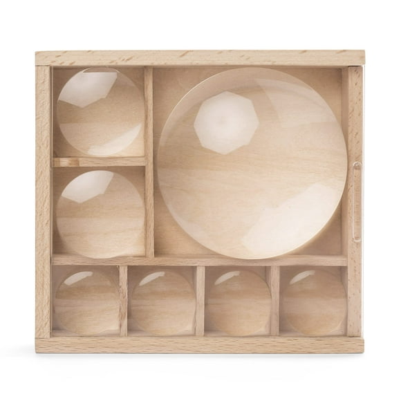 Kikkerland Huckleberry My Little Museum Bug Box Collection Observation Bug House 7 Compartments in-Built Magnifying Lenses for Insect Collecting