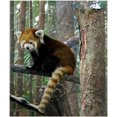 thumbnail image 2 of CafePress - Xia Throw Blanket - Soft Fleece Throw Blanket, 50"x60" for All Ages, 2 of 2