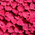 thumbnail image 2 of Freeze-dried raspberries - 150 g (5.3oz), 2 of 5