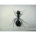 thumbnail image 3 of Solar Ant Baby Electronic Pet Toy, 3 of 3