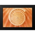 thumbnail image 2 of Millet, Karyn 18x13 Black Modern Framed Museum Art Print Titled - Ocean Treasures XIV, 2 of 5