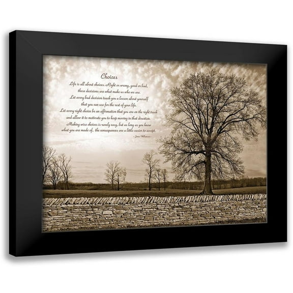 Susie Boyer 14x12 Black Modern Framed Museum Art Print Titled - Choices