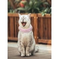 thumbnail image 3 of Spiked Dog Collar,PU round head anti bite pet collar with cool rivet nails and bullet heads, punk style cat and dog collar, for Small Medium Large Dogs Male Cats Goat, 3 of 9