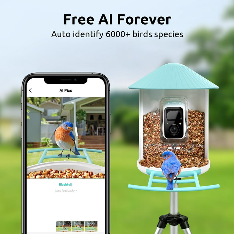 Bird Feeder with Camera, Netvue Birdfy Bird Watching Cameras Solar Powered  for Bird Lover (Free AI Forever) 