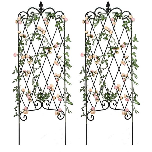 Climbing Rose Trellises