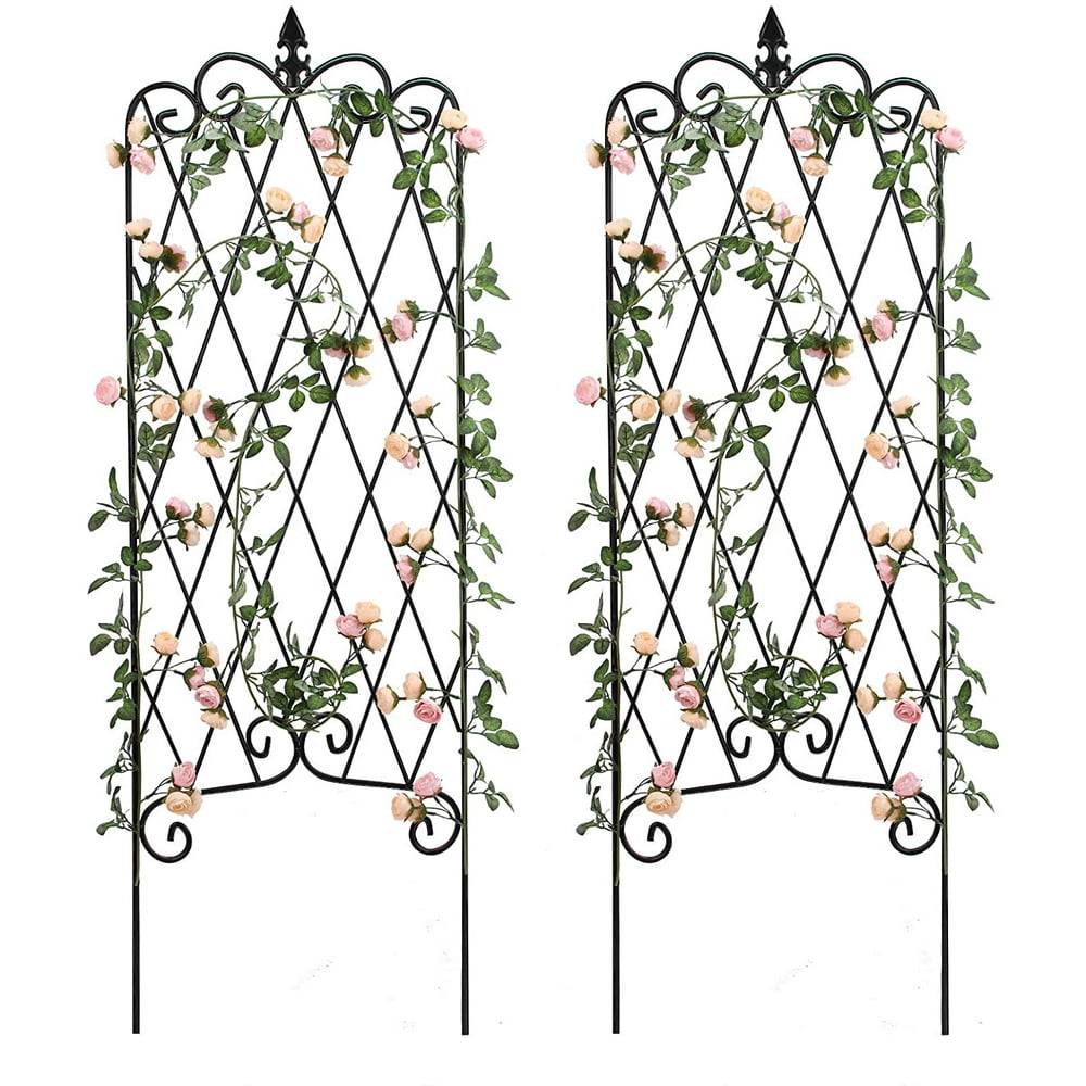 2 Pack Garden Trellis for Climbing Plants 60" x 18" Rustproof Black Iron Potted Vines Vegetables