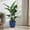 Antique Blue Green, variant on Noble House Ruth Flowerpot Set, Premium Ceramic with Glossy Finish and Drainage Hole, Set of 3, Antique Blue Green